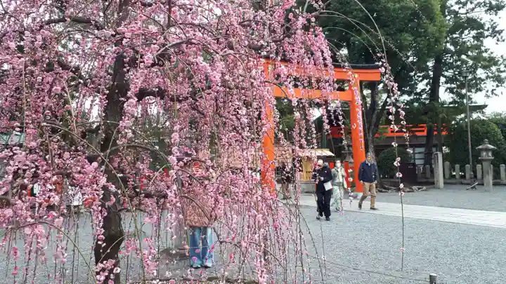 城南宮(京都府)