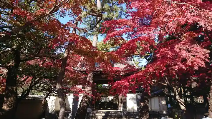 三寳寺の自然