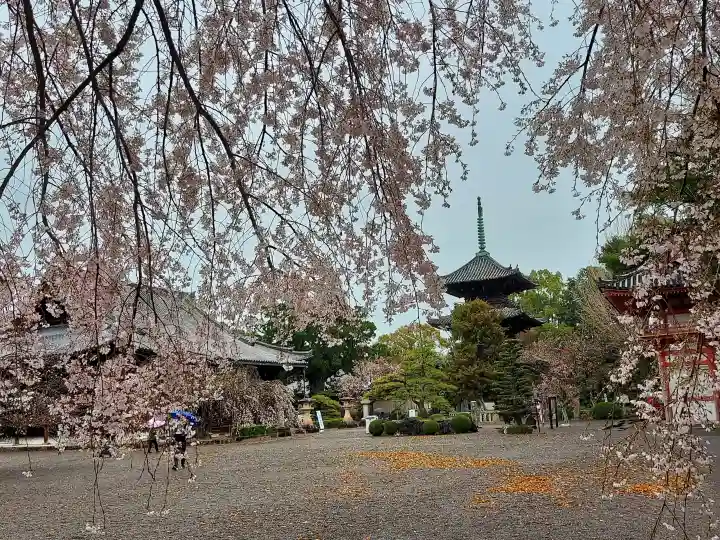 道成寺の{uncategorized: "未分類", other: "その他", undefined: "問題あり", building: "その他建物", grave: "お墓", sacred_gate: "鳥居", guardian: "狛犬", statue: "像", buddha: "仏像", history: "歴史", nature: "自然", garden: "庭園", animal: "動物", pagoda: "塔", temizu: "手水舎", mountain_gate: "山門・神門", sanctuary: "本殿・本堂", subordinate: "末社・摂社", art: "芸術", scenery: "景色", jizo: "地蔵", ema: "絵馬", goshuin: "御朱印", omikuji: "おみくじ", items: "授与品その他", amulet: "お守り", goshuincho: "御朱印帳", eats: "食事", festival: "お祭り", votive_dance: "神楽", shichigosan: "七五三参", wedding: "結婚式", experience: "体験その他", initially: "初詣", around: "周辺", anti_infection: "感染症対策"}