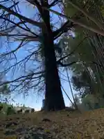 薬王寺(千葉県)