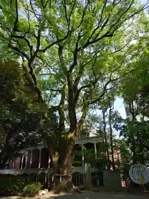 乃木神社(東京都)