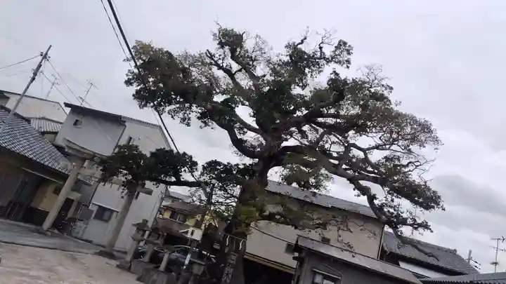 櫟谷七野神社(京都府)
