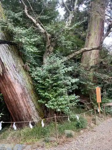 香取神宮(千葉県)