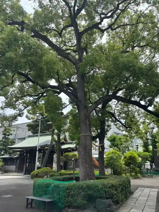 六郷神社の{uncategorized: "未分類", other: "その他", undefined: "問題あり", building: "その他建物", grave: "お墓", sacred_gate: "鳥居", guardian: "狛犬", statue: "像", buddha: "仏像", history: "歴史", nature: "自然", garden: "庭園", animal: "動物", pagoda: "塔", temizu: "手水舎", mountain_gate: "山門・神門", sanctuary: "本殿・本堂", subordinate: "末社・摂社", art: "芸術", scenery: "景色", jizo: "地蔵", ema: "絵馬", goshuin: "御朱印", omikuji: "おみくじ", items: "授与品その他", amulet: "お守り", goshuincho: "御朱印帳", eats: "食事", festival: "お祭り", votive_dance: "神楽", shichigosan: "七五三参", wedding: "結婚式", experience: "体験その他", initially: "初詣", around: "周辺", anti_infection: "感染症対策"}