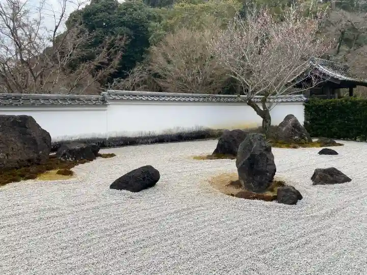 永興寺の{uncategorized: "未分類", other: "その他", undefined: "問題あり", building: "その他建物", grave: "お墓", sacred_gate: "鳥居", guardian: "狛犬", statue: "像", buddha: "仏像", history: "歴史", nature: "自然", garden: "庭園", animal: "動物", pagoda: "塔", temizu: "手水舎", mountain_gate: "山門・神門", sanctuary: "本殿・本堂", subordinate: "末社・摂社", art: "芸術", scenery: "景色", jizo: "地蔵", ema: "絵馬", goshuin: "御朱印", omikuji: "おみくじ", items: "授与品その他", amulet: "お守り", goshuincho: "御朱印帳", eats: "食事", festival: "お祭り", votive_dance: "神楽", shichigosan: "七五三参", wedding: "結婚式", experience: "体験その他", initially: "初詣", around: "周辺", anti_infection: "感染症対策"}