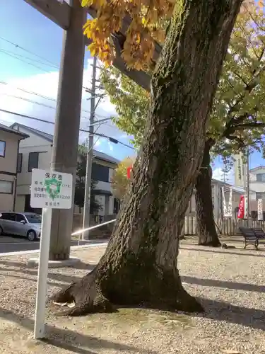 澁川神社（渋川神社）の庭園