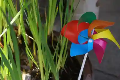 東海市熊野神社の手水舎