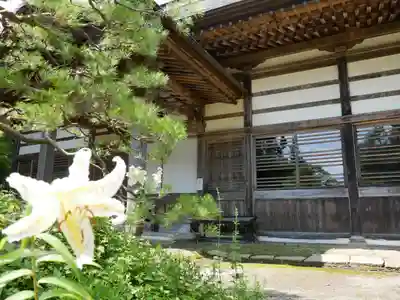 泰寧寺の本殿・本堂
