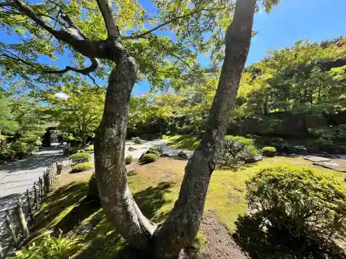 円通院(宮城県)