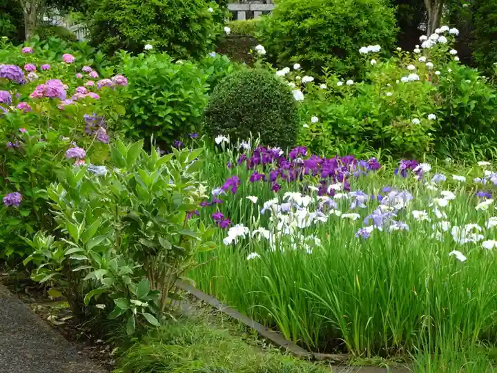 天台宗 長窪山 正覚寺の自然
