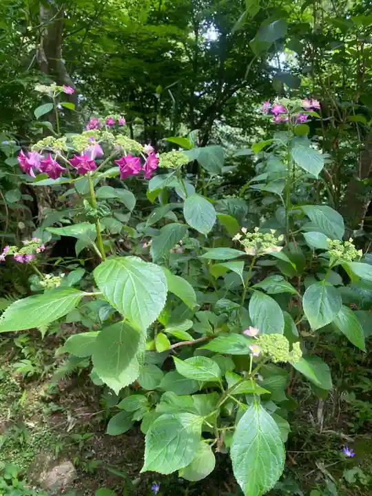 石都々古和気神社(福島県)