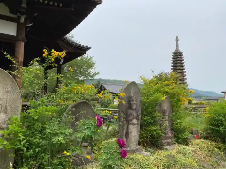 般若寺 ❁コスモス寺❁(奈良県)