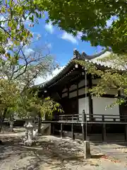 教信寺の建物その他