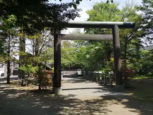 信濃神社の鳥居