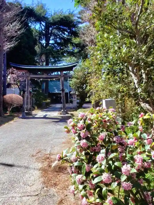田端神社(東京都)