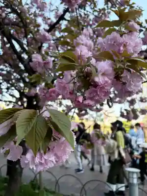 出会い不動の{uncategorized: "未分類", other: "その他", undefined: "問題あり", building: "その他建物", grave: "お墓", sacred_gate: "鳥居", guardian: "狛犬", statue: "像", buddha: "仏像", history: "歴史", nature: "自然", garden: "庭園", animal: "動物", pagoda: "塔", temizu: "手水舎", mountain_gate: "山門・神門", sanctuary: "本殿・本堂", subordinate: "末社・摂社", art: "芸術", scenery: "景色", jizo: "地蔵", ema: "絵馬", goshuin: "御朱印", omikuji: "おみくじ", items: "授与品その他", amulet: "お守り", goshuincho: "御朱印帳", eats: "食事", festival: "お祭り", votive_dance: "神楽", shichigosan: "七五三参", wedding: "結婚式", experience: "体験その他", initially: "初詣", around: "周辺", anti_infection: "感染症対策"}