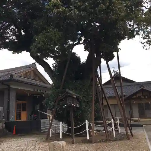 村國真墨田神社の庭園