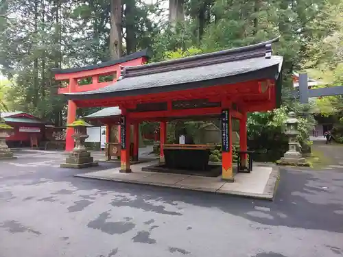 箱根神社の手水舎