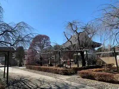 五宝寺(群馬県)