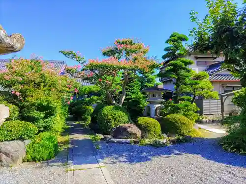 本成寺の庭園