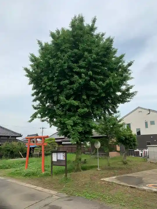 十二天神社(千葉県)