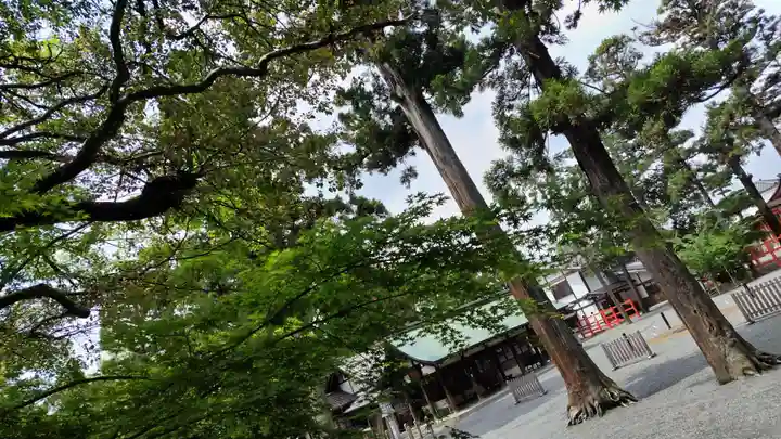 吉田神社(京都府)