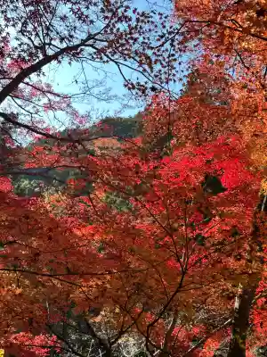 山科聖天 雙林院（双林院）　(京都府)