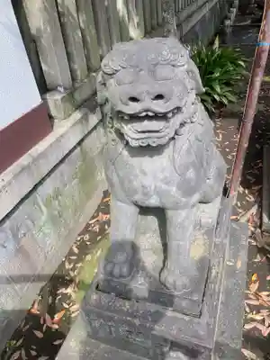 富岡八幡宮の狛犬