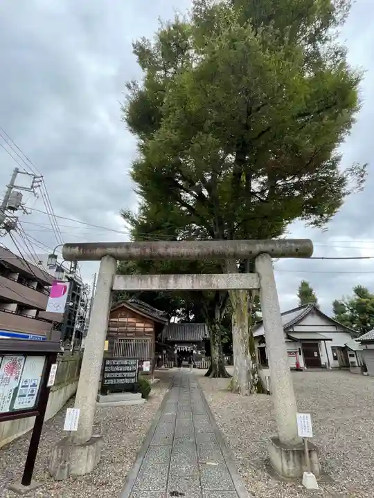 浅間神社の鳥居