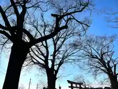 白鳥神社(長野県)