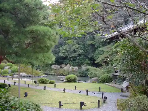 青蓮院門跡の庭園