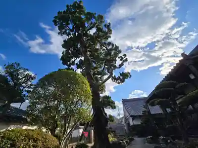 月光寺(大阪府)