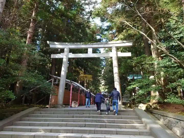 彌彦神社の鳥居