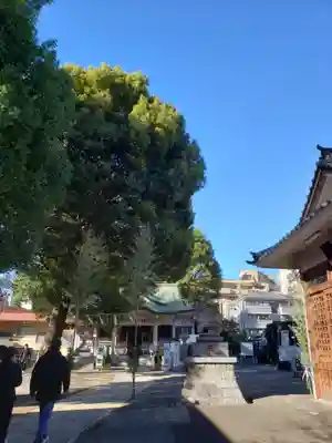 荻窪白山神社(東京都)