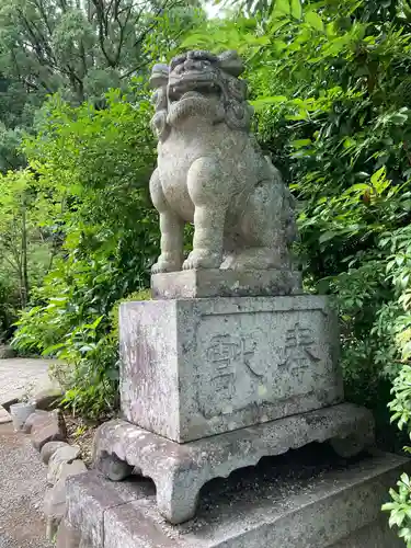 報徳二宮神社の狛犬