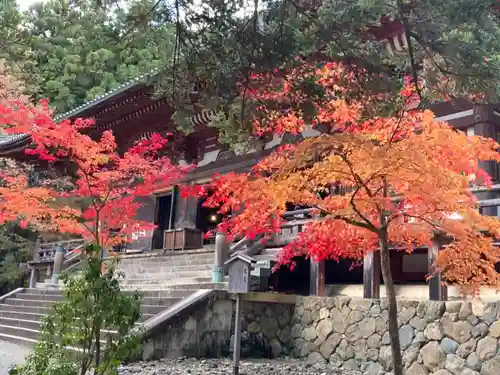 神護寺の本殿・本堂
