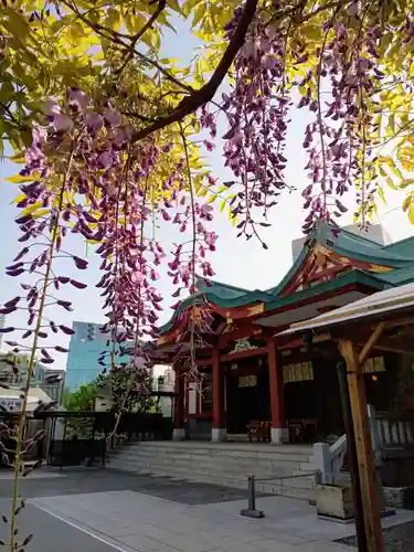 日枝神社の本殿・本堂