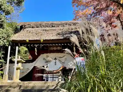 深大寺の山門・神門