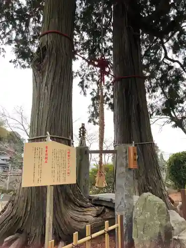武雄神社の自然