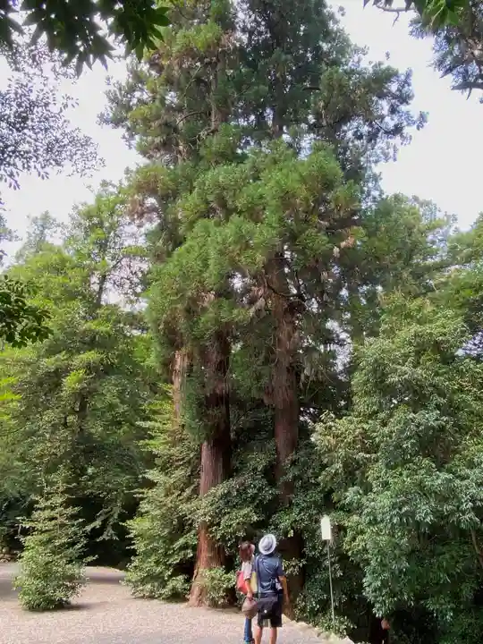 一之宮貫前神社(群馬県)