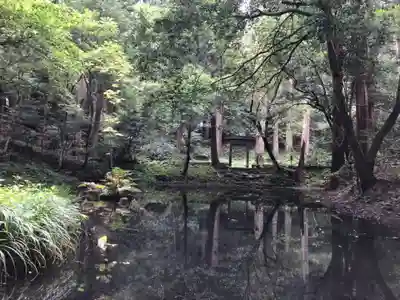 平泉寺白山神社(福井県)