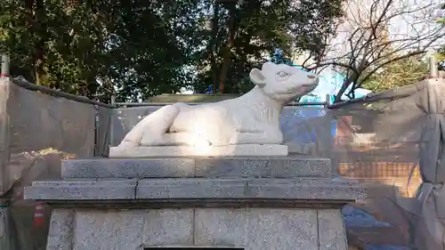 小金井神社の狛犬