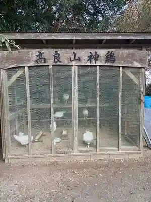 高良大社(福岡県)