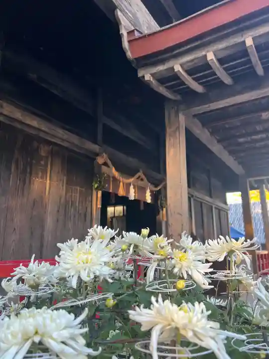 青井阿蘇神社(熊本県)