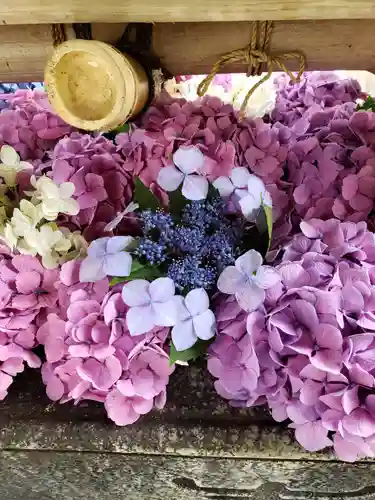 鳩森八幡神社の手水舎