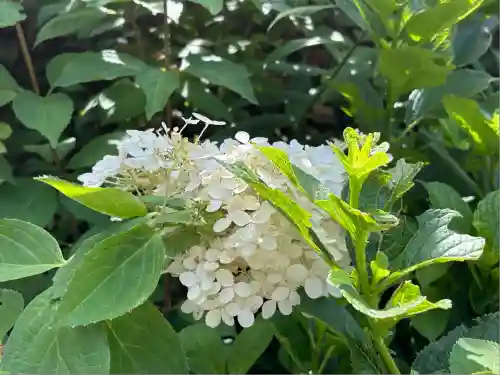 瑞雲院(山形県)