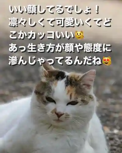 専念寺(大阪府)