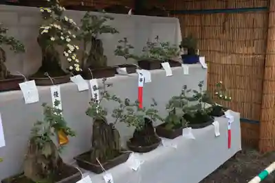 高麗神社のその他建物