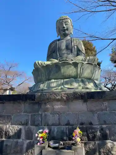 護国寺(東京都)