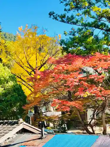筑波山大御堂の{uncategorized: "未分類", other: "その他", undefined: "問題あり", building: "その他建物", grave: "お墓", sacred_gate: "鳥居", guardian: "狛犬", statue: "像", buddha: "仏像", history: "歴史", nature: "自然", garden: "庭園", animal: "動物", pagoda: "塔", temizu: "手水舎", mountain_gate: "山門・神門", sanctuary: "本殿・本堂", subordinate: "末社・摂社", art: "芸術", scenery: "景色", jizo: "地蔵", ema: "絵馬", goshuin: "御朱印", omikuji: "おみくじ", items: "授与品その他", amulet: "お守り", goshuincho: "御朱印帳", eats: "食事", festival: "お祭り", votive_dance: "神楽", shichigosan: "七五三参", wedding: "結婚式", experience: "体験その他", initially: "初詣", around: "周辺", anti_infection: "感染症対策"}
